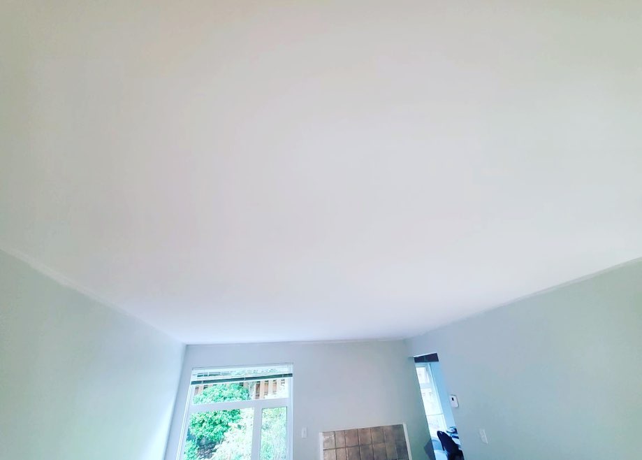 level 5 textured ceiling skim